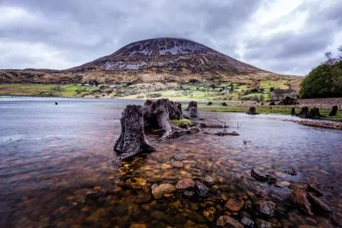 Mountain pick in clouds with tree trunks in lake in foreground Stock Photos