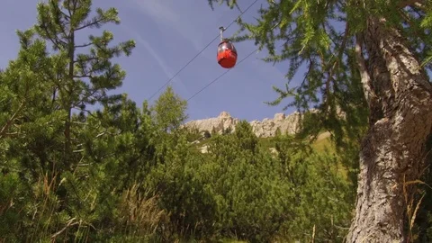 Mountain pine and cable car Stock Footage 79895857