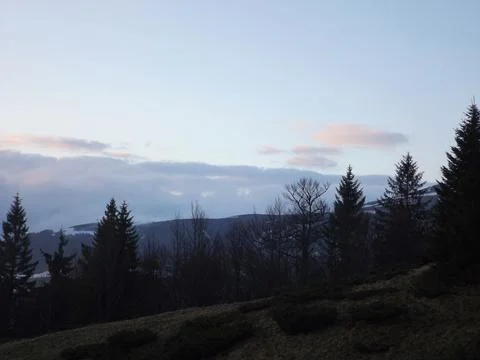 Mountain Pine Silhouette Twilight Sky Pink Clouds Foto stock