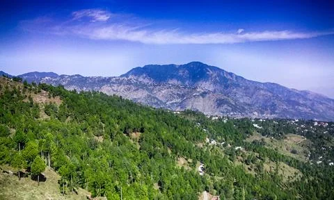 Mountain, Pine Tree Blue Sky with Clouds Natural Beauty in Village Murree Pa Stock Photos