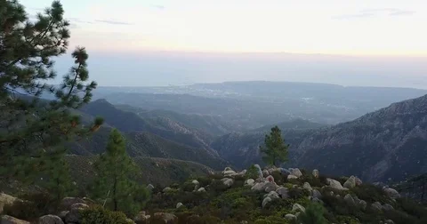 Mountain Pine Tree Coast Aerial Drone Santa Barbara Stock Footage 81215594