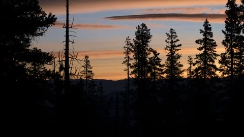 Mountain Pine Tree Sunrise Time-lapse Stock Footage 120296460