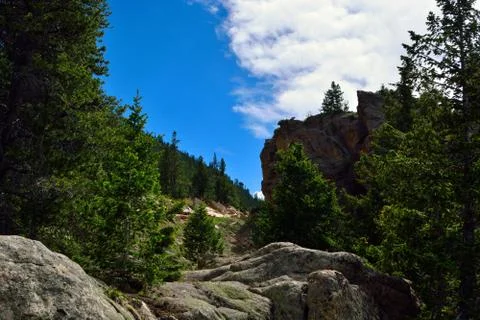 Mountain Pine Trees and Large Rocks Stock Photos