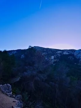 A mountain with pine trees in the foreground, escaping from the fire Stock Photos