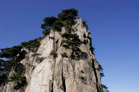 Mountain with pine trees under blue sky Stock Photos