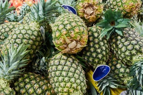 Mountain of pineapples on the counter of the store Stock Photos