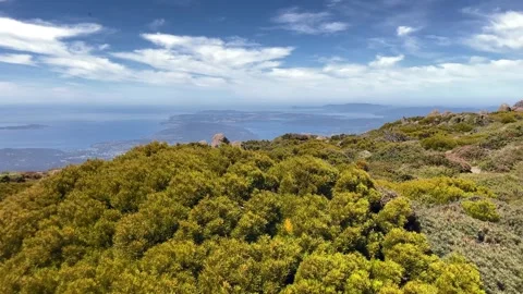 Mountain plants and view of lower derwent estuary 動画素材 297061093