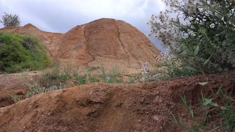 Mountain plants Stock-Footage 138865834