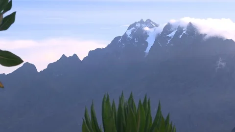 Mountain with plants in foreground Stock Footage 119348672