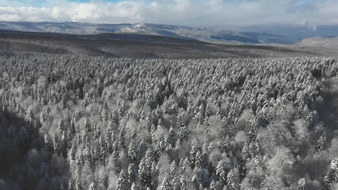 The mountain plateau is covered with dense forest, a beautiful winter landscape Stock-Footage 116786203