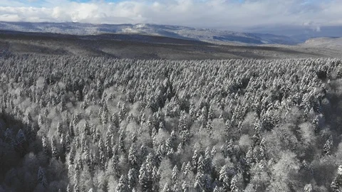 The mountain plateau is covered with dense forest, a beautiful winter landscape Stock Footage 116787272