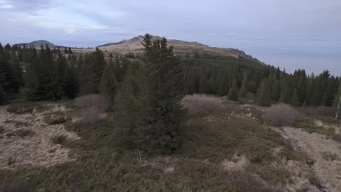 Mountain Platoe Trees Forward Fly Through Video stock 201740036