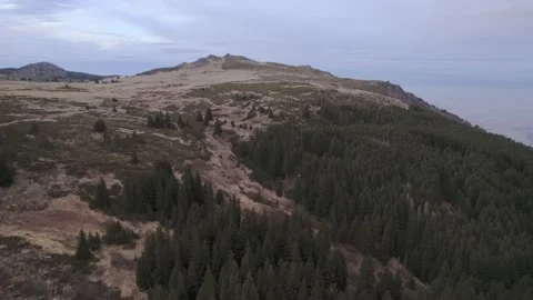 Mountain Platoe Vitosha Trees Forward Fly Over Video stock 201739679