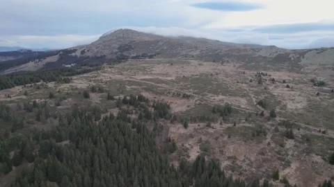 Mountain Platoe Vitosha Trees Peak Fly Over Stock Footage 201739201