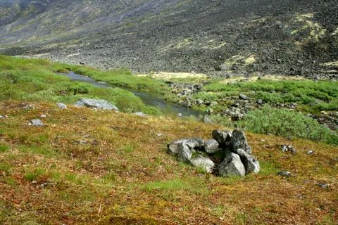 Mountain pointer Stock Photos