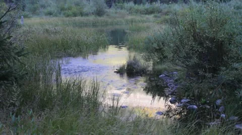 Mountain pond Stock Footage 12346094