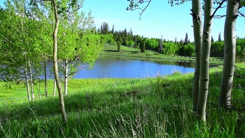 A mountain pond Stock Footage 72284229