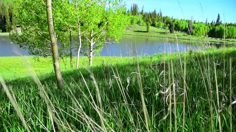 A mountain pond Stock Footage 72284249