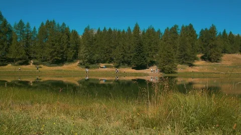 Mountain pond 스톡 동영상 75405787