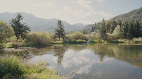 Mountain pond reflecting clouds and pine trees Colorado Video stock 348022459