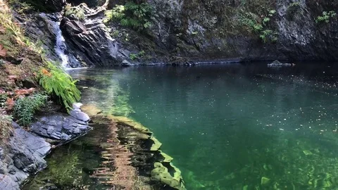 Mountain pond with waterfall Video stock 79547291