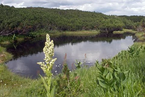 Mountain pool Stock Photos
