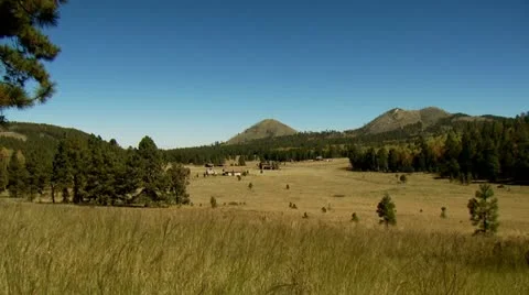 Mountain Prairie Stock Footage 11175465