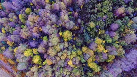 Mountain profile color Stockbeeldmateriaal 254410873