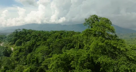 Mountain province with rainforest. Philippines. Stock Footage 250370943