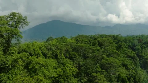 Mountain province with rainforest. Philippines. Stock Footage 301356743