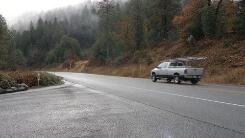 Mountain rain with fog on a the pine trees.  Stock Footage 99086507