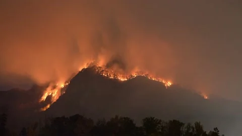 Mountain Rain Forest Fire Stock Footage 167605559