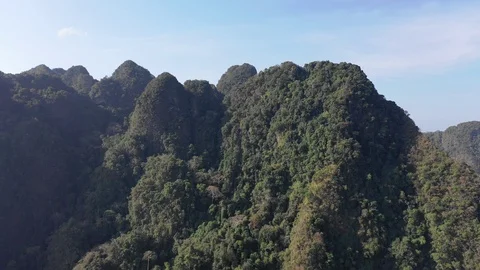 Mountain rainforest Видео 102112791