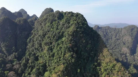 Mountain rainforest Stock Footage 102113355