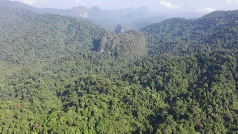 Mountain rainforest Video stock 102114994