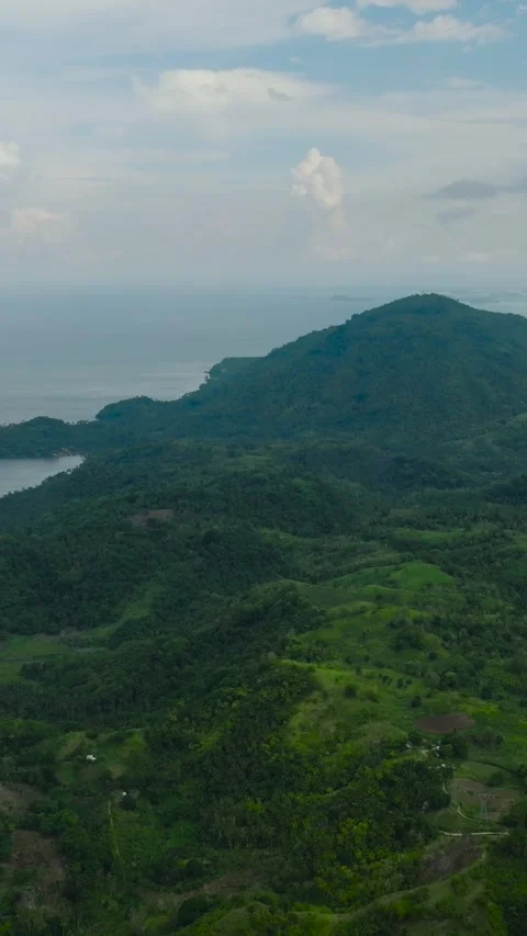 Mountain with rainforest in the Philippines. Stock Footage 321437702