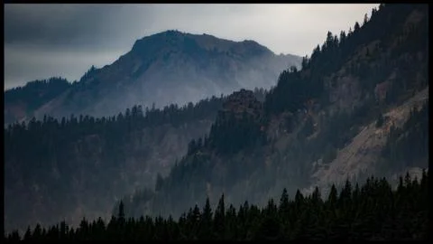 Mountain Rainier Forest Stock Photos