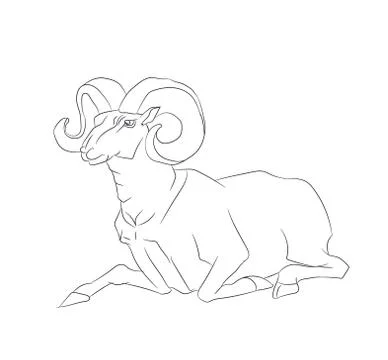 Mountain ram lying, line, vector Illustrazione stock