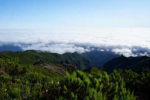 Mountain Range Above Clouds on PR1 Trail, Madeira Stock-Fotos