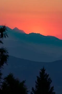 Mountain range after sunset with spruce trees in foreground Stock Photos