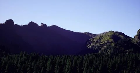 Mountain range against clear sky with dense forest below in the afternoon Stock Illustration