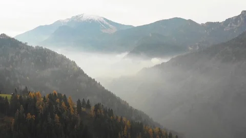 Mountain range and coniferous forest amidst the fog Stock-Footage 102189547