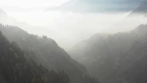 Mountain range and coniferous forest amidst the fog Stock-Footage 102189587