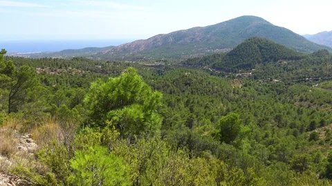 Mountain range and forest Stock Footage 115920716