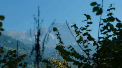 Mountain Range and Forest Valley Pan with Airplane Passing in the Sky Stock Footage 320209983