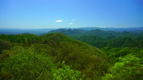 The Mountain Range and Fresh Green Forests Viewed from the Old Usui Pass, Stock-Footage 330858477