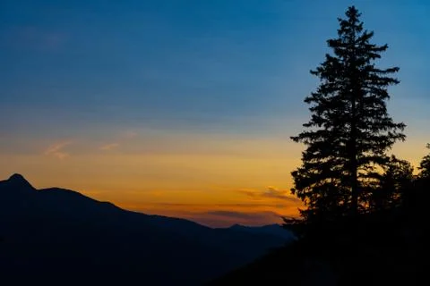 A mountain range and a tree during the colorful sunset Stock Photos