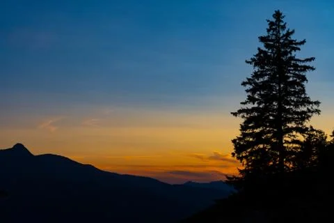 A mountain range and a tree during the colorful sunset Stock Photos