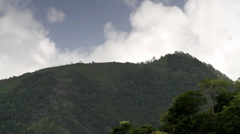 Mountain range bird flies 스톡 동영상 53045685