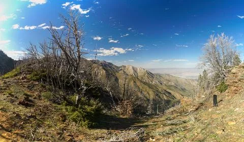 A mountain range with a clear blue sky and a few trees Stock Photos